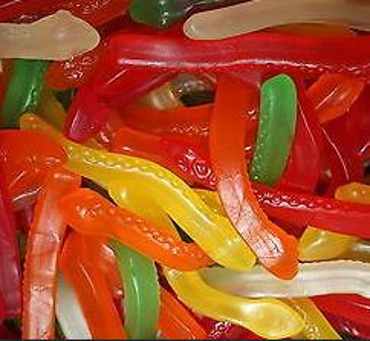 Picture for category Snakes